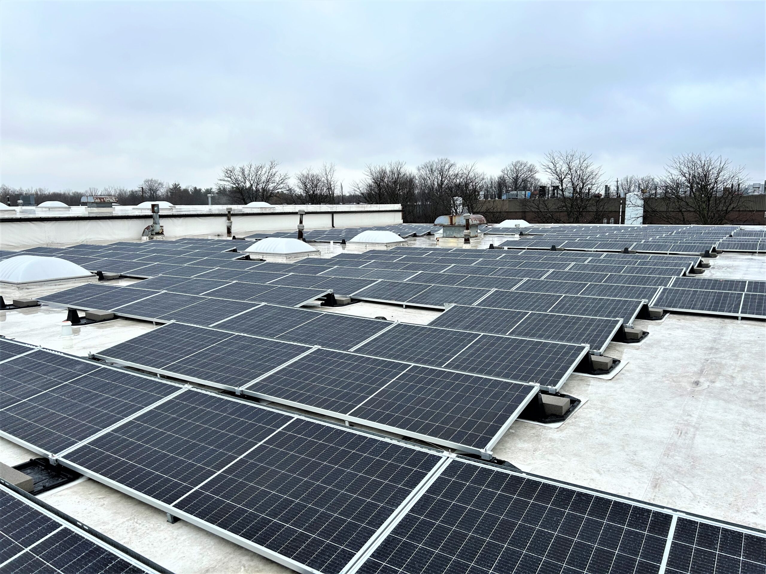 Roof Mounted Solar Panels